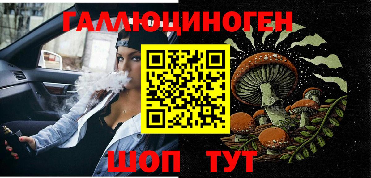 Галлюциногенные грибы Psilocybe Будённовск