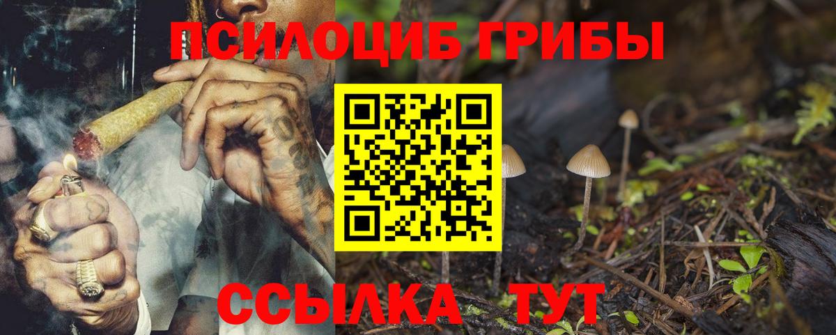Галлюциногенные грибы мицелий  как найти закладки  Будённовск  Вход с VPN 